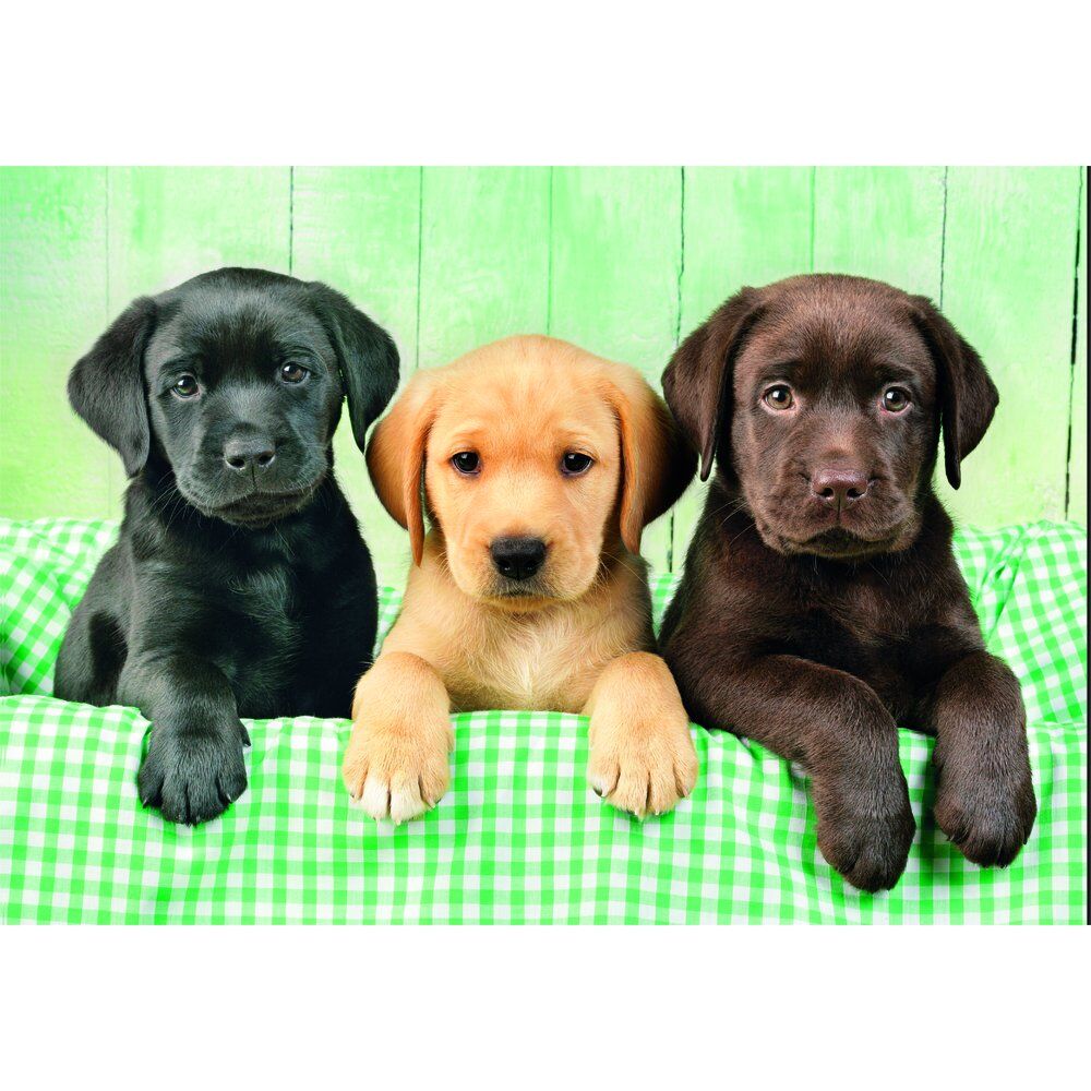 Imagen 1 - Puzzle Three Labs High Quality 1000Pzs