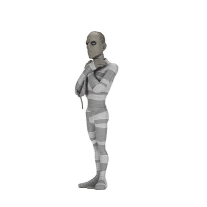 Imagen 4 - Figura The Mummy Black & White Toony Terrors Universal Monsters 15Cm