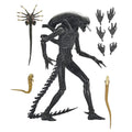 Imagen 1 - Figura Ultimate Xenomorph Alien: Romulus 18Cm