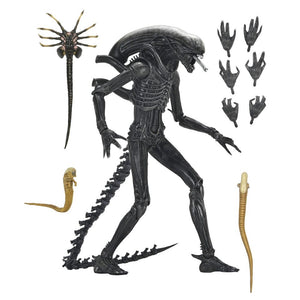Imagen 1 - Figura Ultimate Xenomorph Alien: Romulus 18Cm