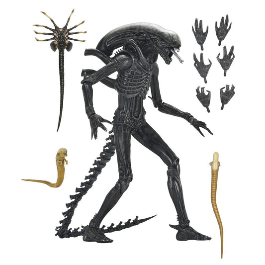 Imagen 1 - Figura Ultimate Xenomorph Alien: Romulus 18Cm