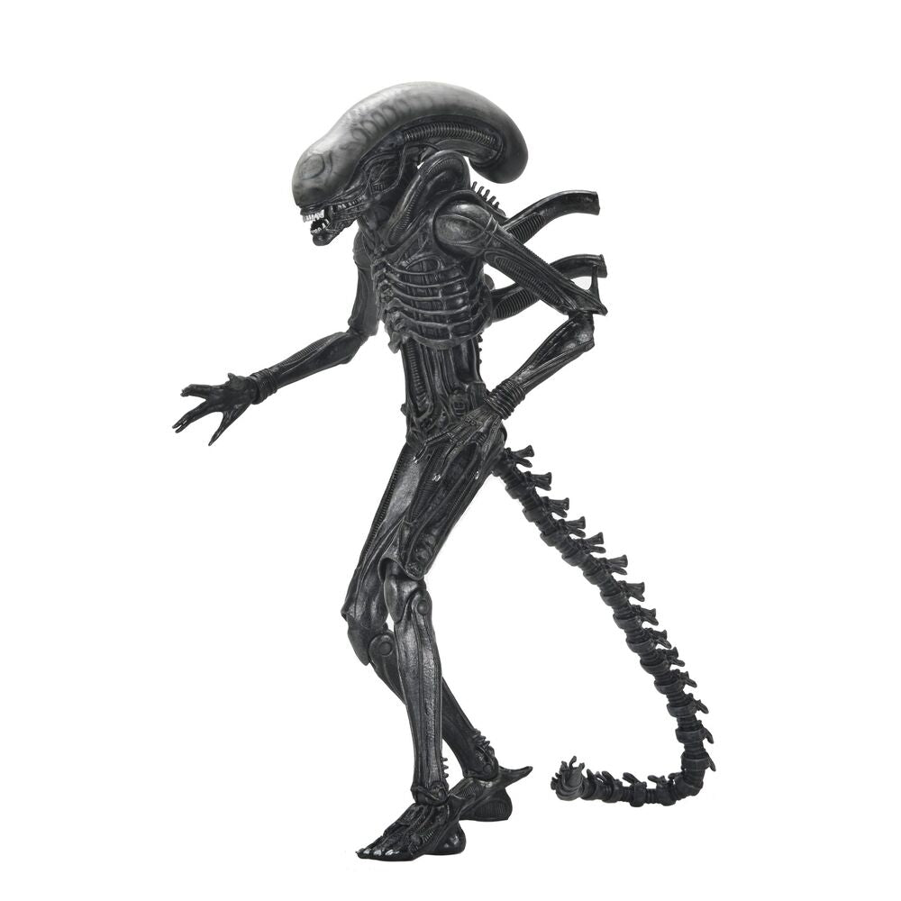 Imagen 2 - Figura Ultimate Xenomorph Alien: Romulus 18Cm