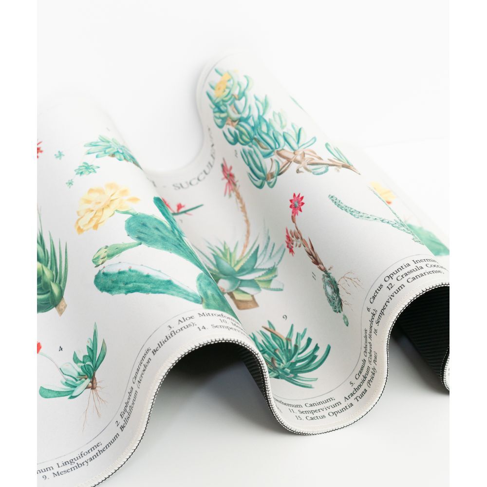 Imagen 4 - Alfombrilla Gaming Cactus Botanicos