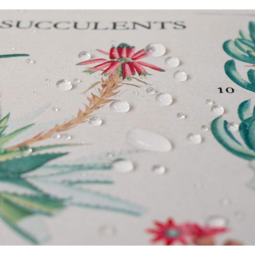 Imagen 5 - Alfombrilla Gaming Cactus Botanicos