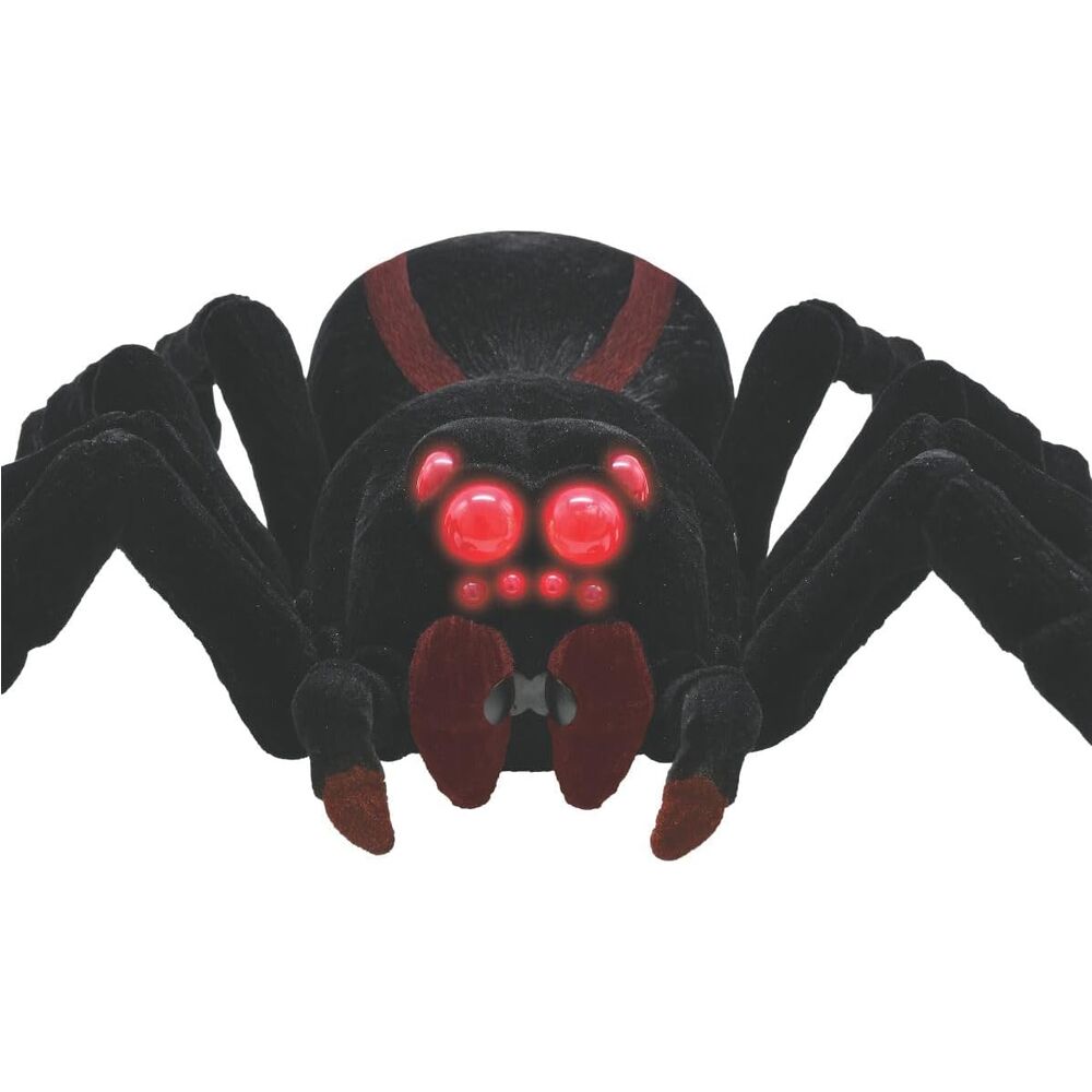 Imagen 2 - Tarantula Radio Control