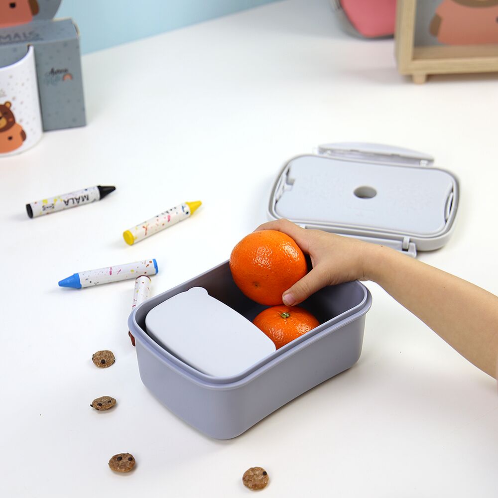 Imagen 4 - Sandwichera Hermetica Con Placa Refrigerante + Cajita Oso