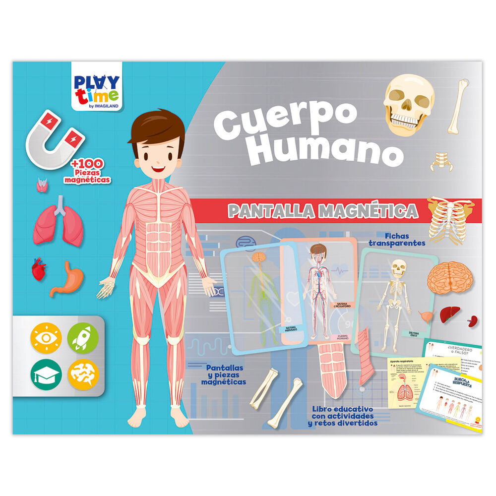 Imagen 1 - Pantalla Magnetica El Cuerpo Humano Español