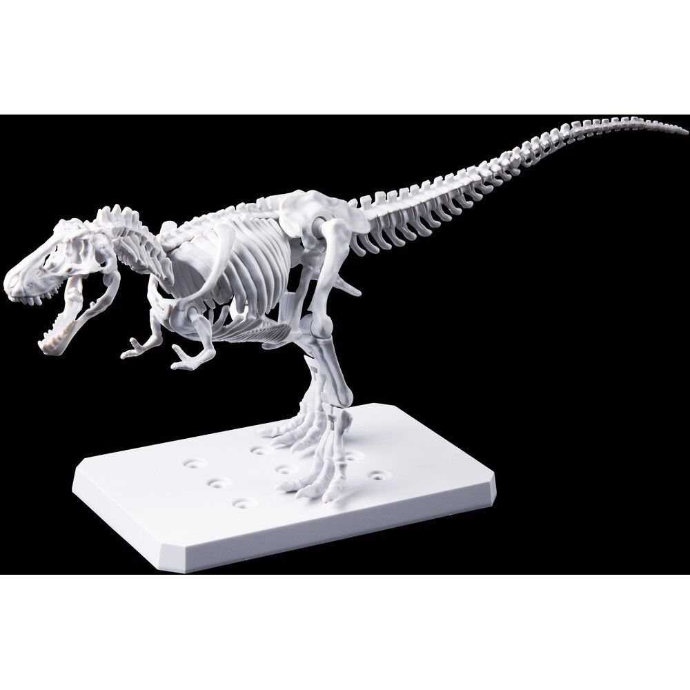 Imagen 3 - Figura Model Kit Tyrannosaurus Painting Version Plannosaurus