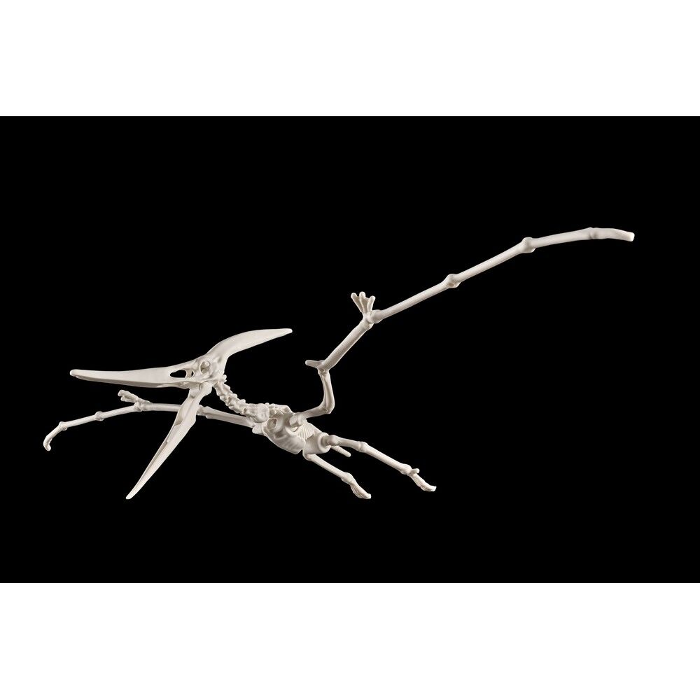 Imagen 5 - Figura Model Kit Pteranodon Plannosaurus
