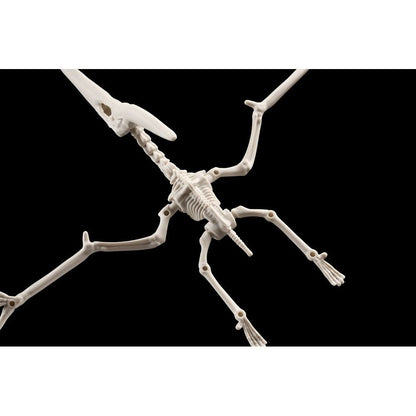 Imagen 6 - Figura Model Kit Pteranodon Plannosaurus