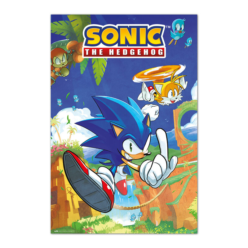 Imagen 1 - Poster Sonic &#38; Tails Sonic The Hedgehog