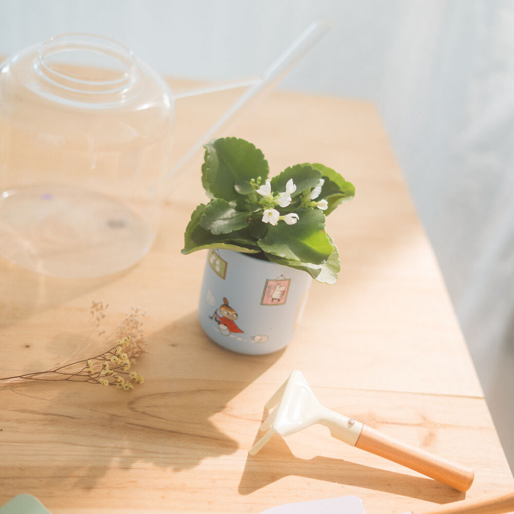 Imagen 5 - Portalapices Moomin