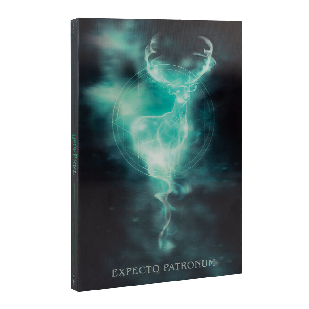 Imagen 1 - Cuaderno A5 Lenticular Harry Potter
