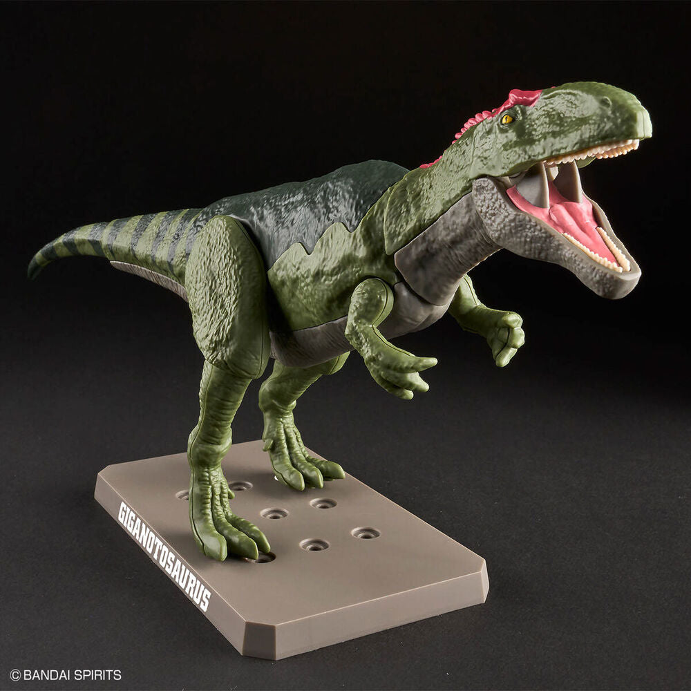 Imagen 2 - Maqueta Plannosaurus Giganotosaurus