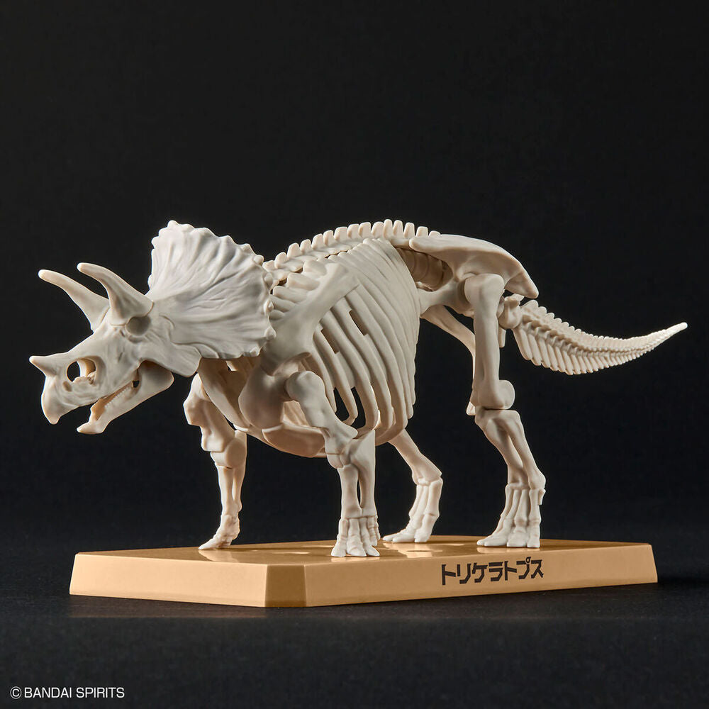 Imagen 5 - Maqueta Plannosaurus Triceratops