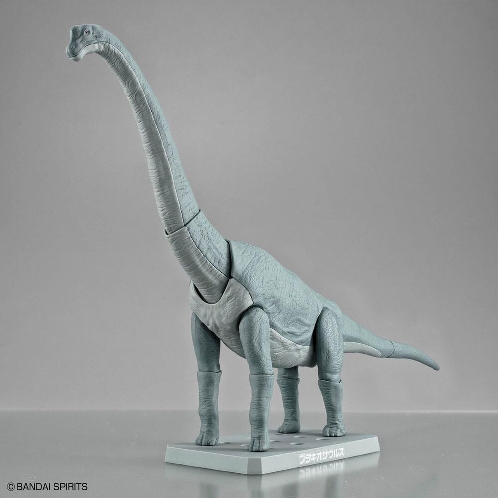 Imagen 3 - Maqueta Plannosaurus Brachiosaurus