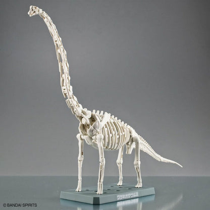Imagen 5 - Maqueta Plannosaurus Brachiosaurus
