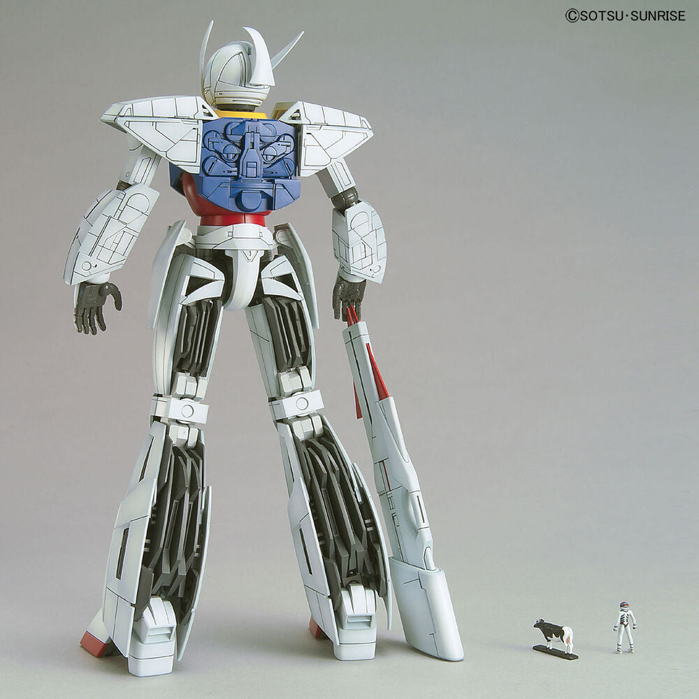 Imagen 3 - Maqueta Mg 1/100 ∀ Gundam