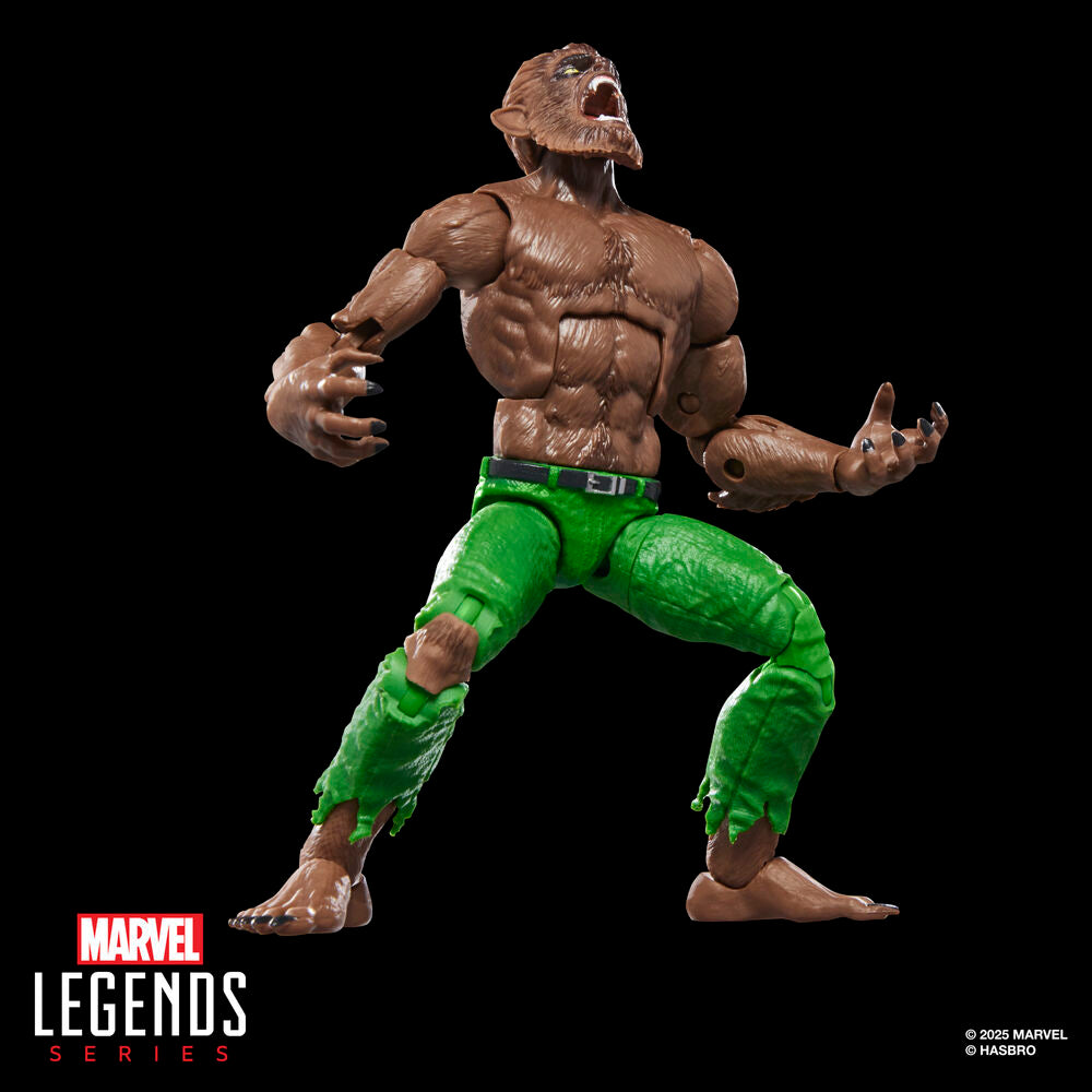 Imagen 3 - Figura Werewolf By Night Marvel Legends Series 15Cm