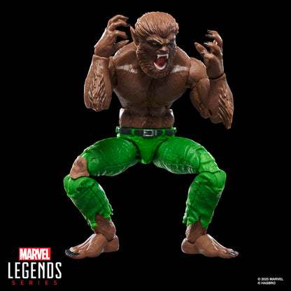 Imagen 4 - Figura Werewolf By Night Marvel Legends Series 15Cm