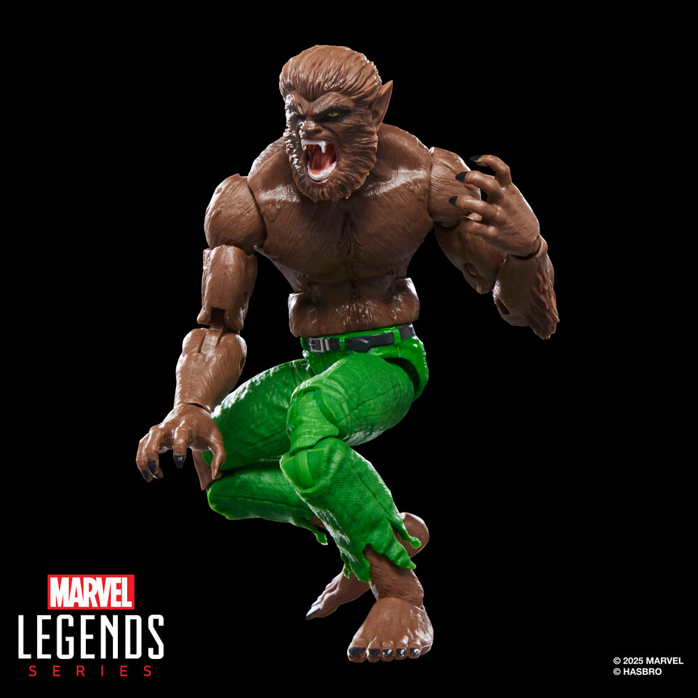 Imagen 5 - Figura Werewolf By Night Marvel Legends Series 15Cm