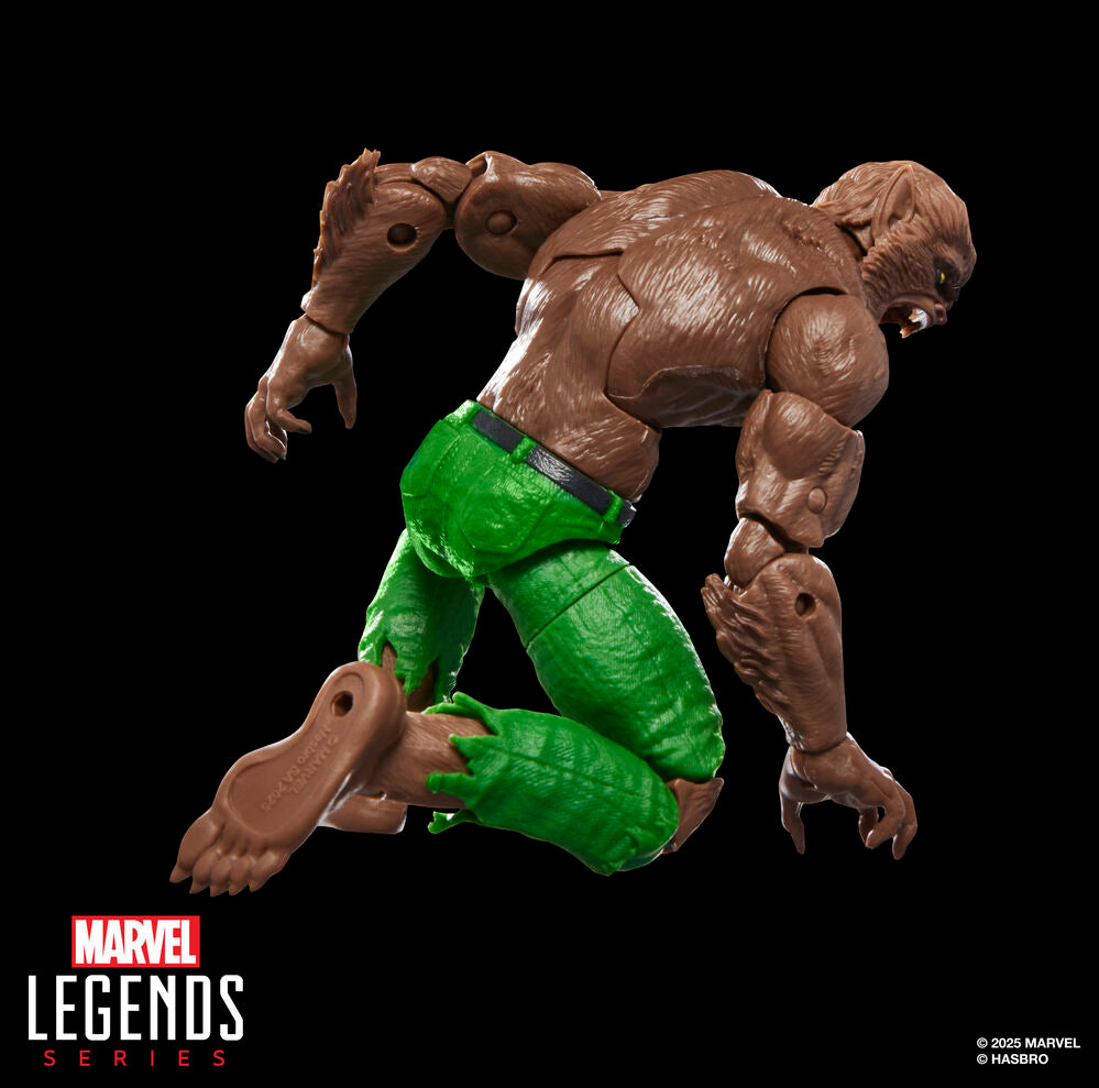 Imagen 9 - Figura Werewolf By Night Marvel Legends Series 15Cm