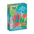 Imagen 1 - Kit Anatomia Squishy Organs
