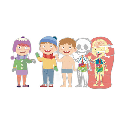 Imagen 2 - El Cuerpo Humano