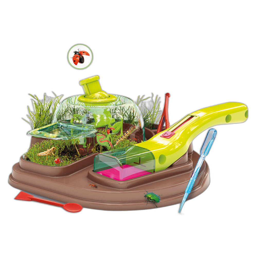 Imagen 2 - Observatorio De Insectos