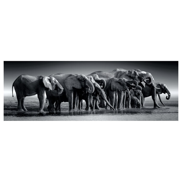 Imagen 2 - Puzzle Panorama Manada De Gigantes 1000Pzs