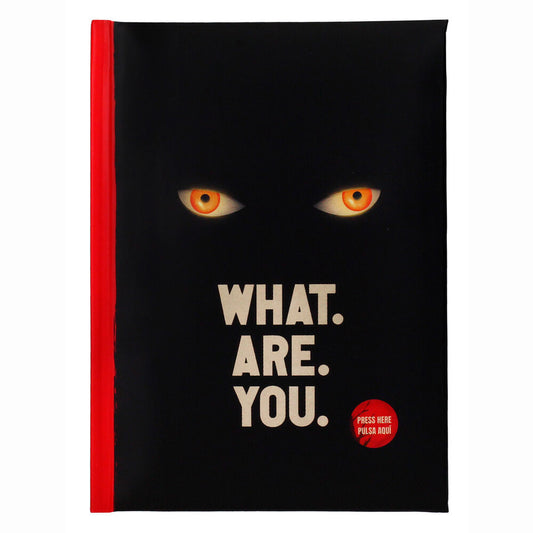 Imagen 1 - Cuaderno Whart Are You It Bienvenidos A Derry