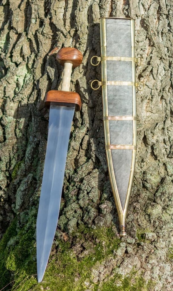 Espada Gladius tipo Mainz con vaina ASW17 - Espadas y Más