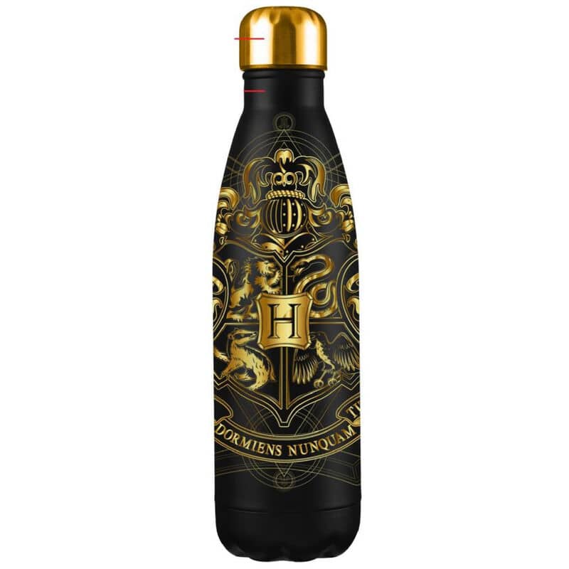 Botella Ravenclaw Isotérmica 500 ml - Harry Potter