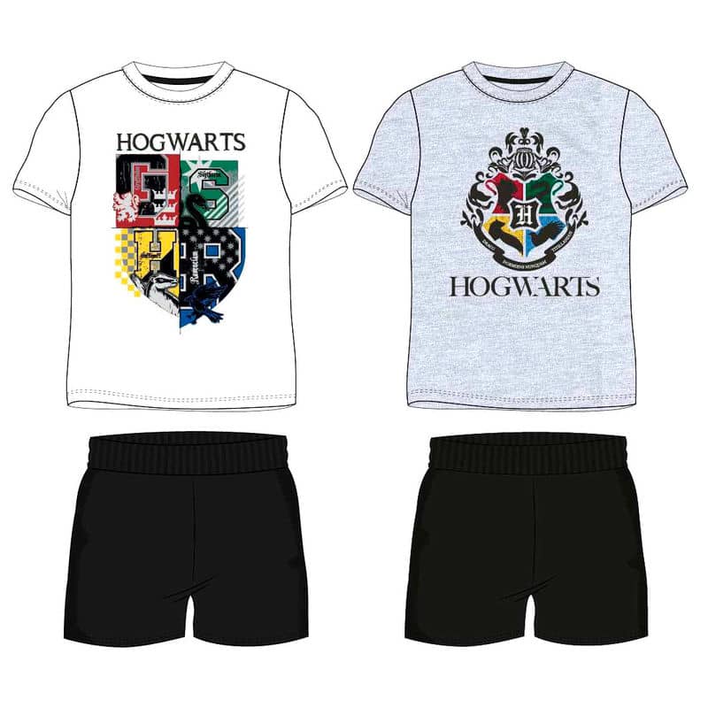 Conjunto Harry Potter surtido adulto - Espadas y Más