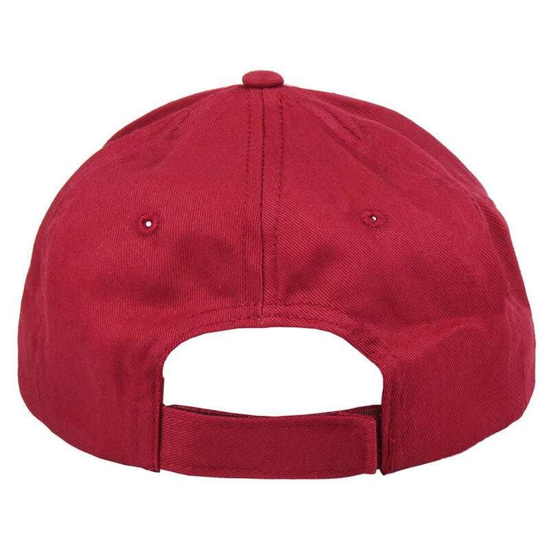 Gorra Harry Potter surtido - Espadas y Más