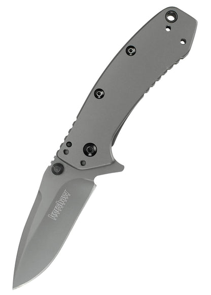 Navaja de bolsillo Kershaw Cryo, Varios Acabados KW-1555 - Espadas y Más