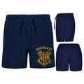 Bañador Hogwarts Harry Potter adulto - Espadas y Más