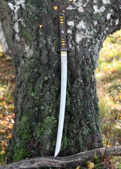 Espada SamuraiSenshi Erai Hito No Wakizashi, BattleBlades BB-SEHNW - Espadas y Más