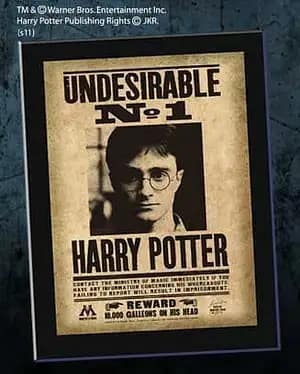 Cartel Indeseable Nº1 Harry Potter NNXT0023 - Espadas y Más