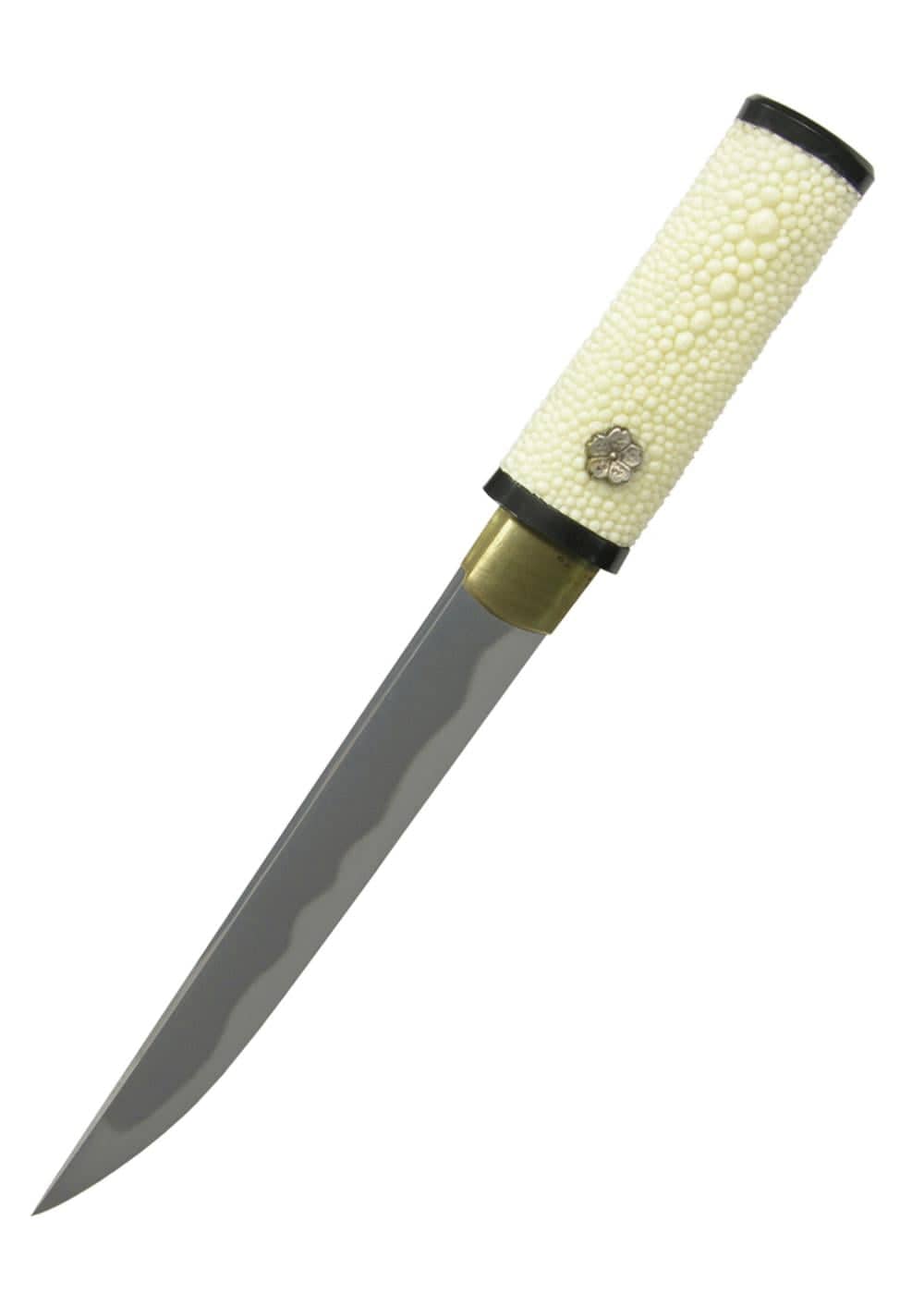 SH2254 Tanto de prácticas Hanwei - Espadas y Más