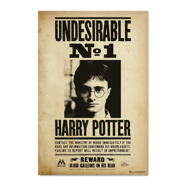 Cartel Indeseable Nº1 Harry Potter NNXT0023 - Espadas y Más