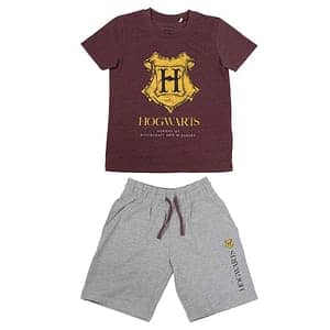 Conjunto Harry Potter surtido adulto - Espadas y Más