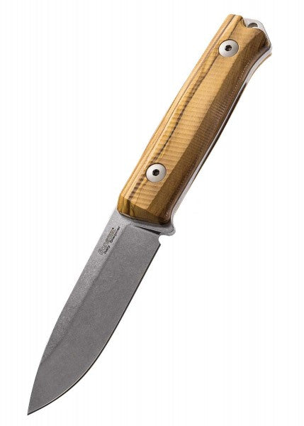 Cuchillo fijo B40 madera de olivo, naranja o Verde, Lionsteel LS-B40 - Espadas y Más