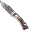 CUCHILLO MUELA COLIBRÍ-7DAM LUJO - Espadas y Más