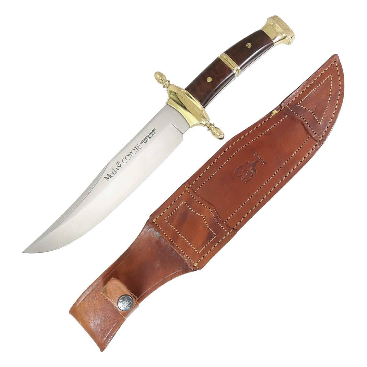 CUCHILLO MUELA COYOTE - Espadas y Más