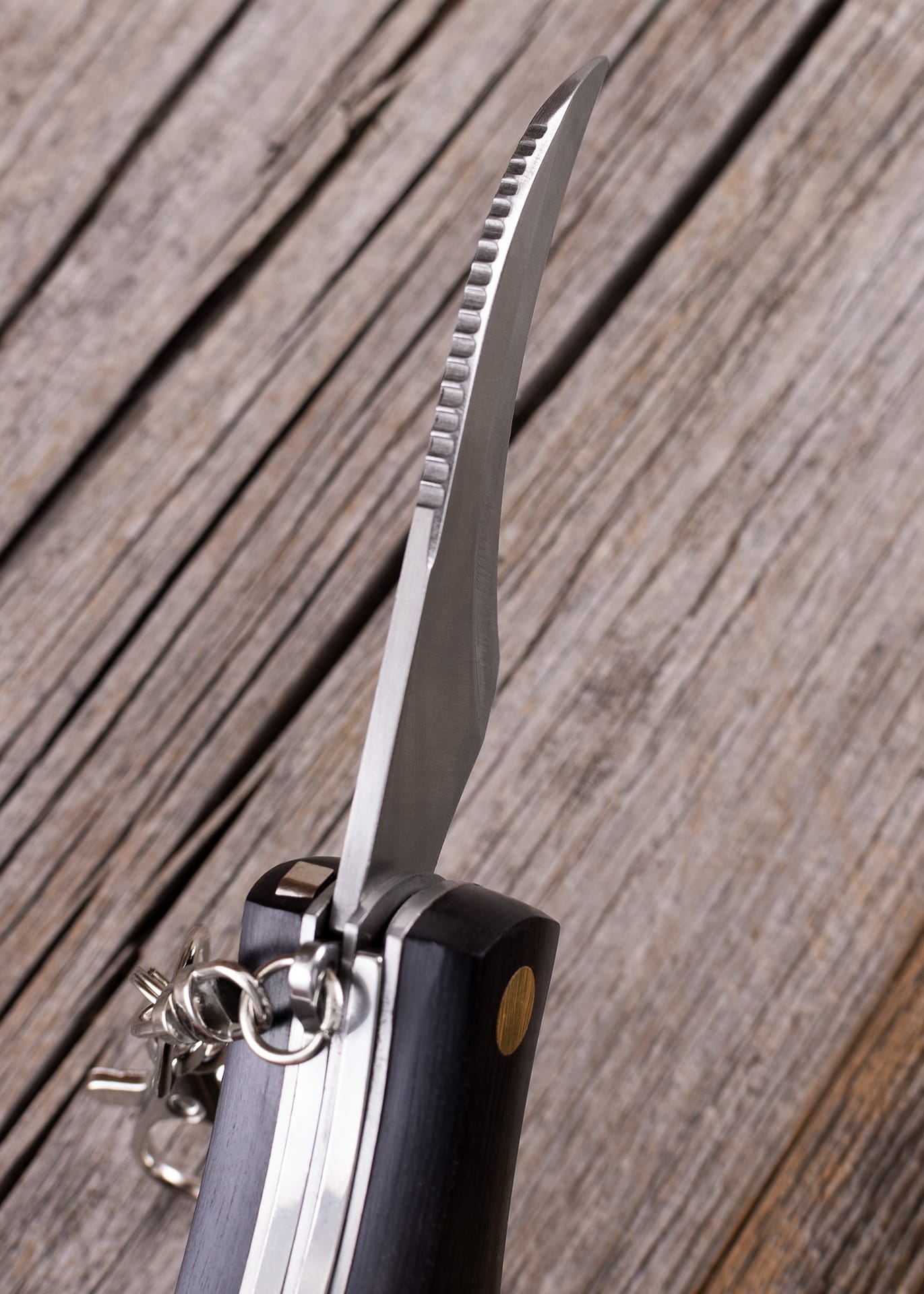 Navaja de bolsillo de setas con cepillo FI-2591 - Espadas y Más