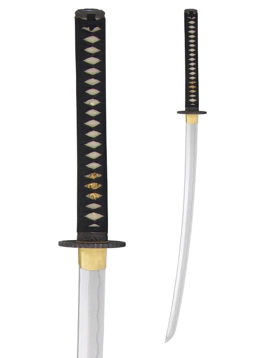 HN-SH6001KPE Katana de Practica Plus Elite - Espadas y Más