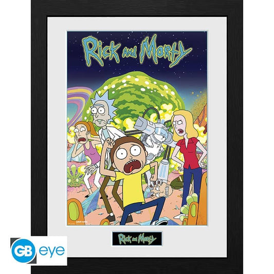 RICK AND MORTY - Framed poster "Compilation" (30x40) x2 - Espadas y Más