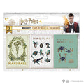 Set de 3 imanes - Cuidado de Criaturas Mágicas - Harry Potter DO5006 - Espadas y Más
