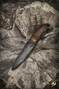 Imagen de SOFCOMBAT Cuchillo de leñador-23cm 432316 parte de nuestra colección en Espadas y más, sitio oficial.